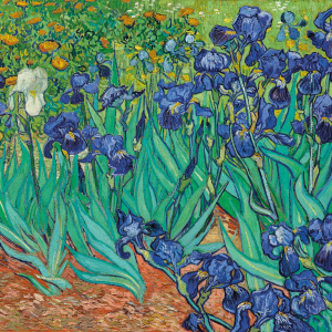 NOTECARD Square Theme Classic Art