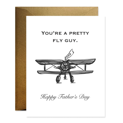 Fly Guy