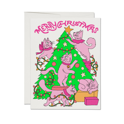 Kitty Chaos SPOT Holiday Card|Red Cap Cards