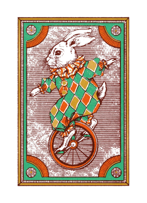 The Remarkable Rabbit