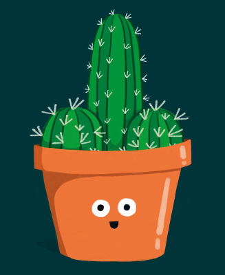 Cocktus