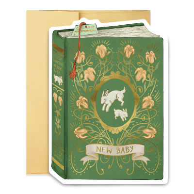 New Baby Book Cover
