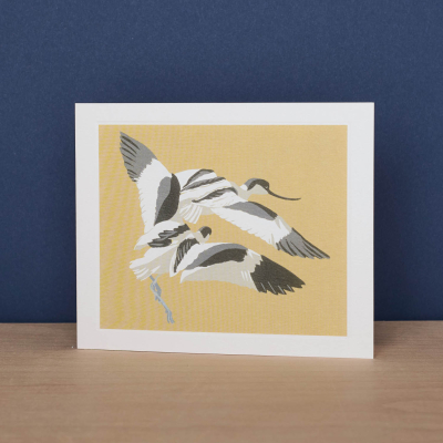 Avocets Chase|Art Angels