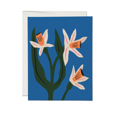 Blue Daffodils Everyday Card|Red Cap Cards