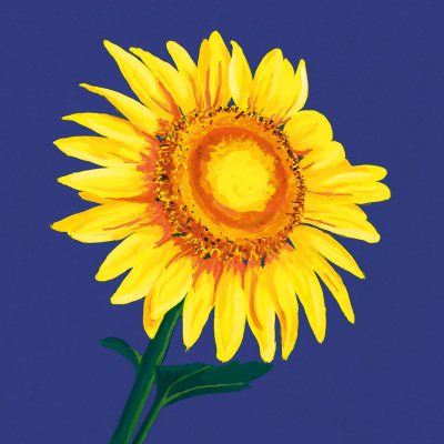 The Sunflower