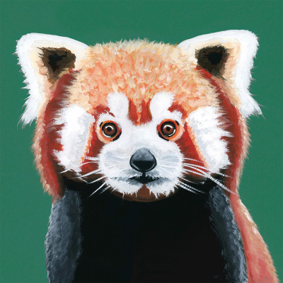 Red Panda