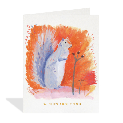 Woodland Squirrel