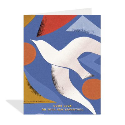 New Adventure Dove