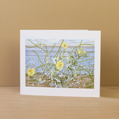 Horned Poppy At Snettisham|Art Angels