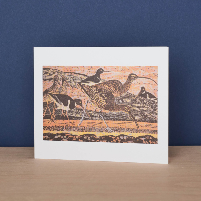 Curlew And Oystercatchers|Art Angels