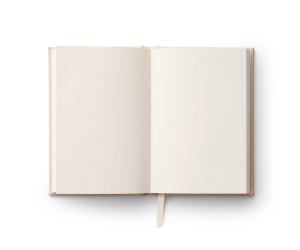 Birth Month Mini Embroidered Journal - September|Rifle Paper