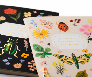 Pair of 2 Curio Pocket Notebooks|Rifle Paper