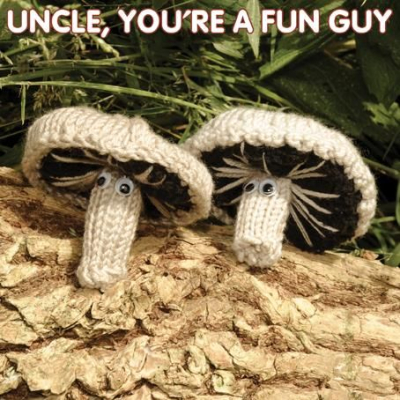 Uncle Fun Guy
