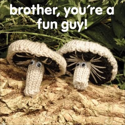 Brother Fun Guy