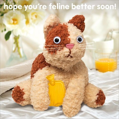 Hope Youre Feline Better Soon