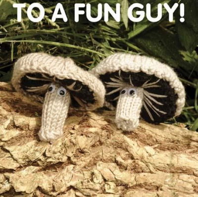 To A Fun Guy