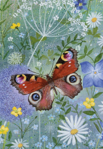 NOTECARD Mini Cube Coast and Country