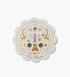 Storybook Milestone Cards|Rifle Paper