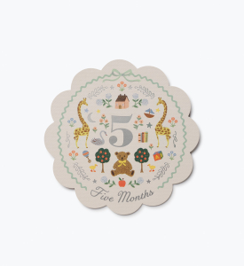 Storybook Milestone Cards|Rifle Paper