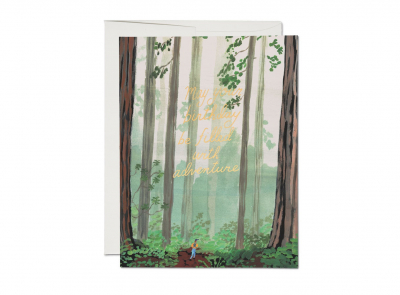 Birthday Adventure|Red Cap Cards