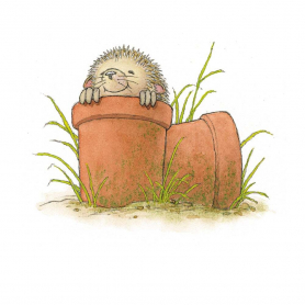 Hedgehog