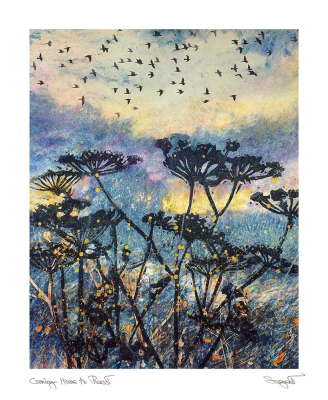 Coming Home To Roost