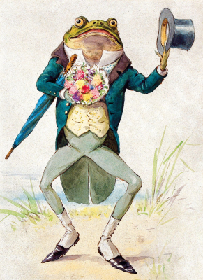 A Toad In Morning Dress