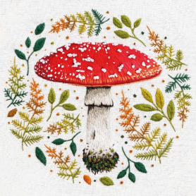 Fly Agaric Mushroom