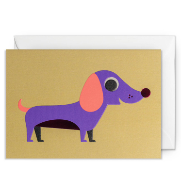 Dachshund