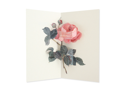 Rose - Hiromi Takeda|UWP Luxe