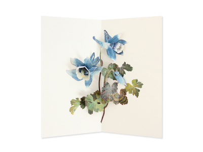 Columbine - Hiromi Takeda|UWP Luxe