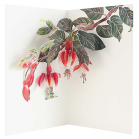 Fuchisa - Hiromi Takeda|UWP Luxe