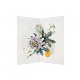 Pasion Vine| UWP Luxe