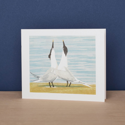 Sandwich Terns|Art Angels