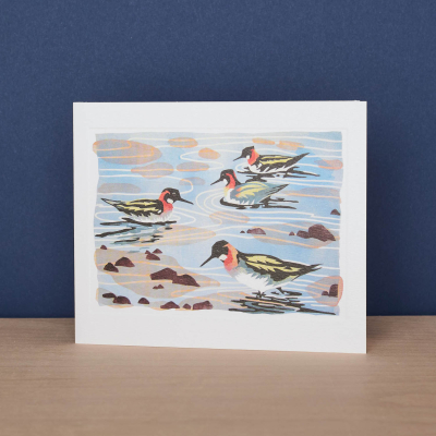 Phalaropes|Art Angels