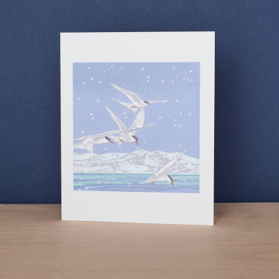 Snowy Terns|Art Angels