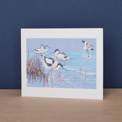Winter Avocets|Art Angels
