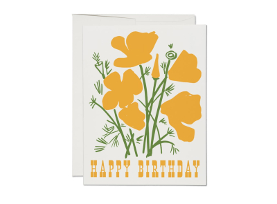 California Poppy|Red Cap Cards