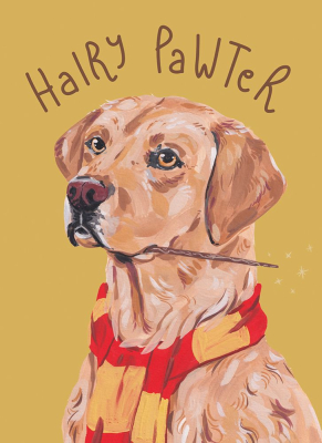 Hairy Pawter