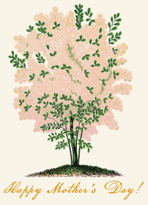 Peach Blossom