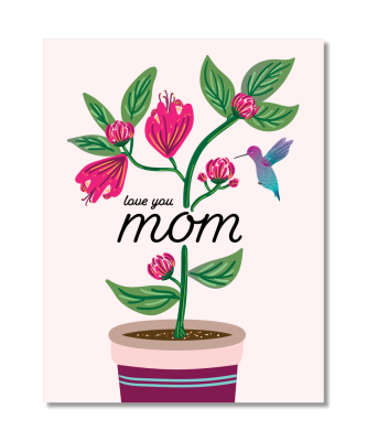 Mom Hummingbird