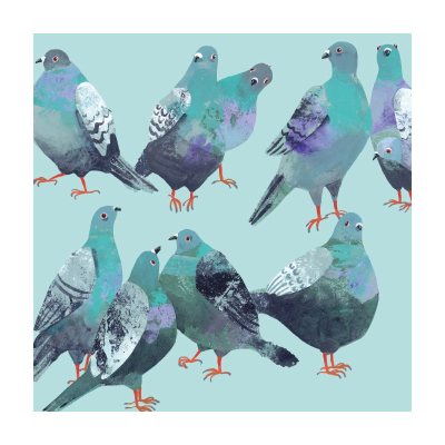 Pigeon Parade