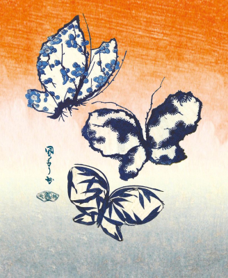 Butterfly Fan Design