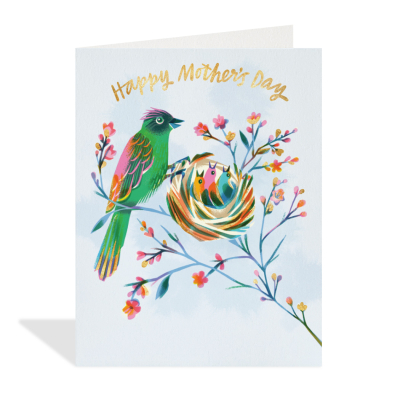 Mother Bird