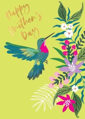 Humming Bird