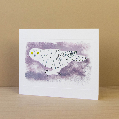 Arctic Visitor|Art Angels