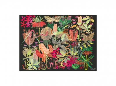 Wild Kingdom wrap roll-3 sheets|Red Cap Cards