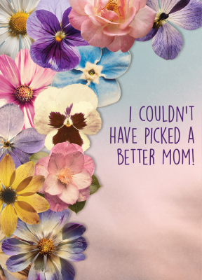 Better Mom