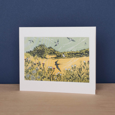 Bayfield Swallows|Art Angels