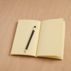 Zebra Dahlias And Feathers Notebook|Art Angels